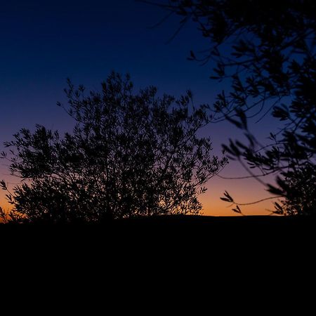 ホテル Skyline Eco-Camp ミツペ・ラモン エクステリア 写真